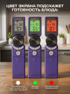 a fotón:  Ermenrich BBQ GT10 húshőmérő